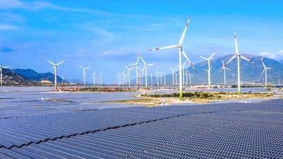 แม้ว่าจะไม่มีหนี้ธนาคารแล้ว แต่ Trung Nam Solar Power ยังคงต้องจ่าย 2,600 พันล้านดอง