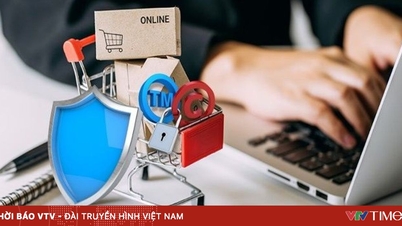 Draft Law on E-commerce: Building a fair playing field, creating a launching pad for development