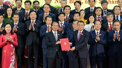 Mr. Dang Xuan Phong holds the position of Secretary of Ninh Binh Provincial Party Committee