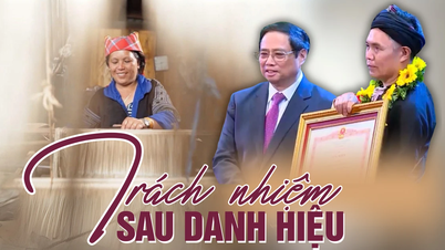 ទំនួលខុសត្រូវនៅពីក្រោយចំណងជើង