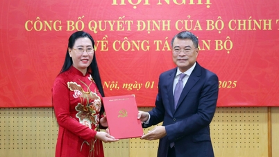 Quang Ngai tartomány párttitkárát nevezték ki a Központi Szervezeti Bizottság helyettes vezetőjévé