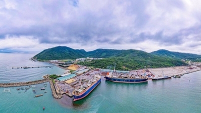 Ha Tinh hat ein zusätzliches 184 Milliarden VND teures Stahlverarbeitungsfabrikprojekt