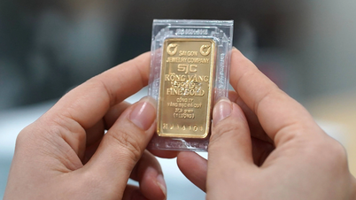 SJC gold bar price sets new record