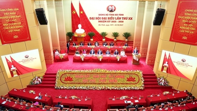 Seizing new opportunities and chances, determined to build Ha Tinh to develop quickly and sustainably.
