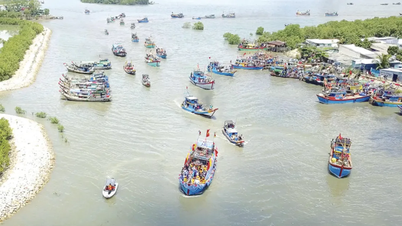 កម្មវិធី និងព្រឹត្តិការណ៍ពិសេសៗជាច្រើននៅមហោស្រព Can Gio Whale