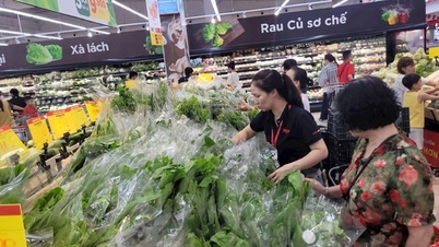 តម្លៃបន្លែមានស្ថិរភាព ផ្សារទំនើបសម្បូរទៅដោយបន្លែស្រស់ៗ