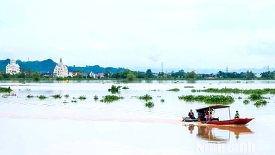 Ninh Binh ឆ្លើយតបយ៉ាងសកម្មចំពោះទឹកជំនន់នៅតំបន់ខាងលើនៃទន្លេ Hoang Long