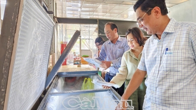 Kinh tế tập thể thúc đẩy phát triển đồng bộ, hiện đại “tam nông”