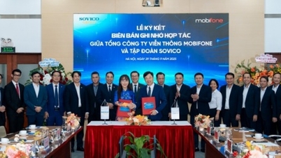 MobiFone y SOVICO cooperan para construir un ecosistema de telecomunicaciones con tecnología multiservicio