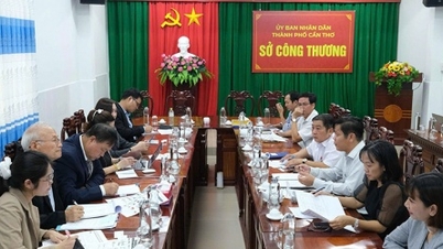 Nhà đầu tư Hàn Quốc xúc tiến 2 dự án quy mô lớn tại Cần Thơ