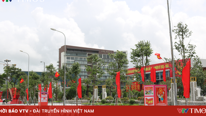 The 1st Ninh Binh Provincial Party Congress: People believe in future development