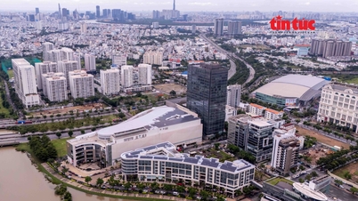 Establishment of Ho Chi Minh City Land Registration Office and 38 affiliated branches