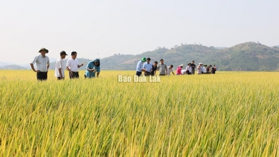 នៅឆ្នាំ 2035 វិស័យដំណាំខិតខំកាត់បន្ថយយ៉ាងហោចណាស់ 15% នៃការបំភាយឧស្ម័នផ្ទះកញ្ចក់សរុប។