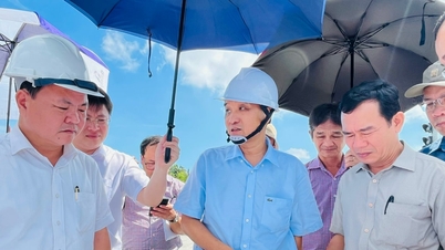 Lãnh đạo UBND thành phố khảo sát quy hoạch các dự án trọng điểm trong Khu kinh tế mở Chu Lai