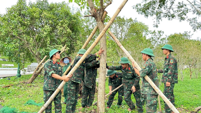 Division 324 mobilized more than 350 officers and soldiers to overcome the consequences of storm No. 10.