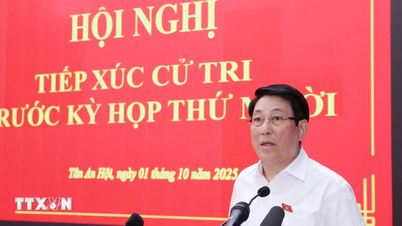 ប្រធានរដ្ឋ Luong Cuong ជួបអ្នកបោះឆ្នោតនៅទីក្រុងហូជីមិញ