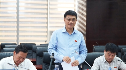 Vice ordförande för nationalförsamlingen Vu Hong Thanh arbetar med folkkommittén i Da Nang stad