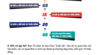 Představujeme oficiální webové stránky ceny Dien Hong