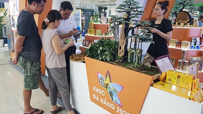 Da Nang: Opening van de Oost-West Economische Corridor 2025 Internationale Beurs
