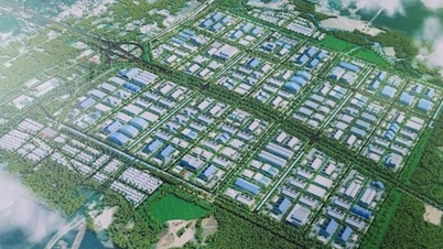 Quang Tri ពង្រឹងការគ្រប់គ្រងការការពារបរិស្ថាន