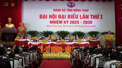 डोंग थाप प्रांतीय पार्टी समिति की पहली कांग्रेस का उद्घाटन, कार्यकाल 2025-2030