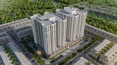Quang Ninh: Commencement of Social Housing Project in Urban Area of ​​Cao Xanh and Ha Lam Wards