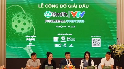 កីឡាករល្បីៗជាច្រើនចូលរួមនៅក្នុងកម្មវិធី VTV AOSMITH Pickleball Open