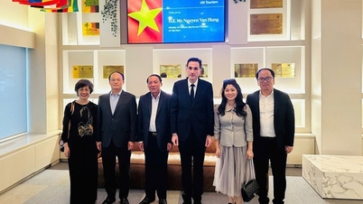 Minister Nguyen Van Hung visits and works with the United Nations Tourism Organization (UN Tourism)