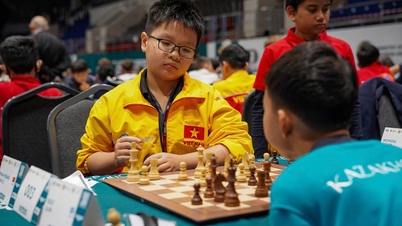 Vietnamese chess won silver medal at world youth tournament