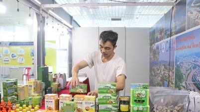 EWEC Vásár – Da Nang 2025: Danangot és a nemzetközi kereskedelmet összekötő híd
