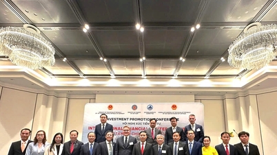 Da Nang semnează un acord de cooperare cu Frankfurt Main Finance, deschizând calea pentru dezvoltarea unui centru financiar internațional