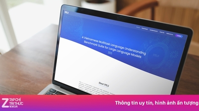 Announcing the assessment criteria for reasoning and interaction of Vietnamese LLM