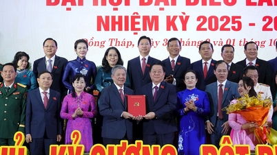 Mr. Ngo Chi Cuong holds the position of Secretary of Dong Thap Provincial Party Committee