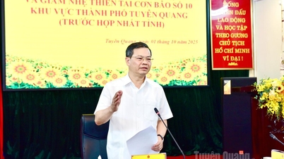 ប្រធានក្រុមប្រឹក្សាប្រជាជនខេត្ត លោក Nguyen Van Son៖ ឆ្លើយតបយ៉ាងសកម្ម ប្តេជ្ញាកាត់បន្ថយការខូចខាតដោយសារព្យុះលេខ ១០