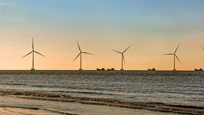 Vinh Long after merger: Breakthrough from marine economy