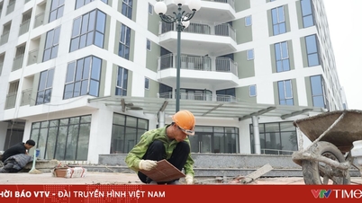 Solving social housing difficulties