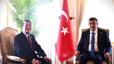 Mempromosikan pengembangan persahabatan dan kerja sama multifaset antara Vietnam dan Turki