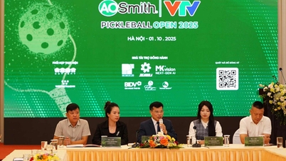 VTV AOSmith Pickleball Open ឆ្នាំ 2025៖ ការប្រកួតប្រជែងកំពូល ការតភ្ជាប់សហគមន៍