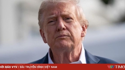 Великі технологічні платформи врегулювали позови з президентом Трампом