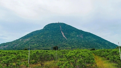 Tay Ninh ហាមអ្នកទេសចរមិនអោយដើរលេង និងឡើងភ្នំ Ba Den ដើម្បីធានាសុវត្ថិភាព។