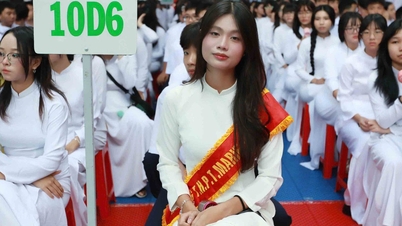 ជំនាន់អាល់ហ្វាចូលវិទ្យាល័យ៖ សិស្សធម្មតាក្នុងសម័យបច្ចេកវិទ្យា