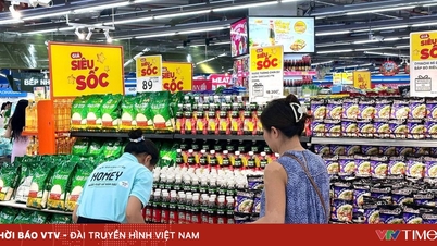 Supermarkets increase vegetable supply by 50% to ensure supply during storm season