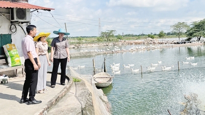 Bac Ninh: Proactively and creatively building a social security system
