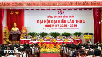 Opening of the first Congress of Dong Thap Provincial Party Committee