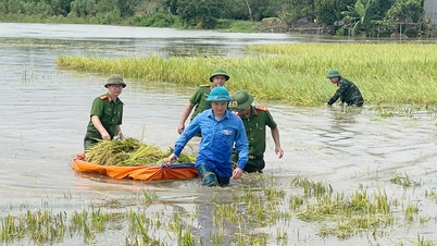 Da Mai Ward បាន​ចល័ត​កម្លាំង​ទៅ​ជួយ​ប្រជាជន​ច្រូតកាត់ និង​កាត់បន្ថយ​ការខូចខាត​ដោយសារ​ទឹកជំនន់។