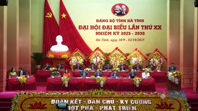 Standing Secretariat: Making Ha Tinh a new growth pole of the North Central region