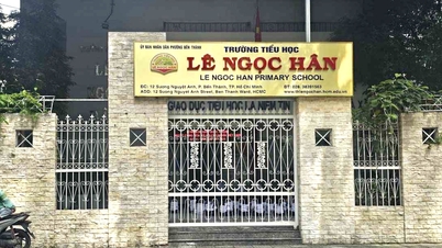 Principal of school in central Ho Chi Minh City proposed for review