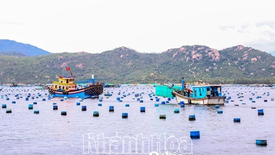It is necessary to comply with regulations on aquaculture in Cam Ranh Bay.