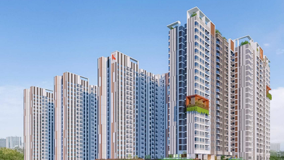 Dong Nai focuses all resources on developing social housing