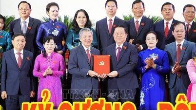 Comrade Ngo Chi Cuong holds the position of Secretary of Dong Thap Provincial Party Committee